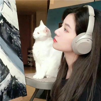 小马王